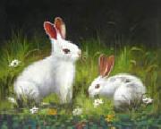 unknow artist Rabbit Sweden oil painting artist